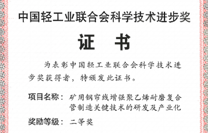 中国2121非凡荣获2024年度中轻联科学技术进取奖